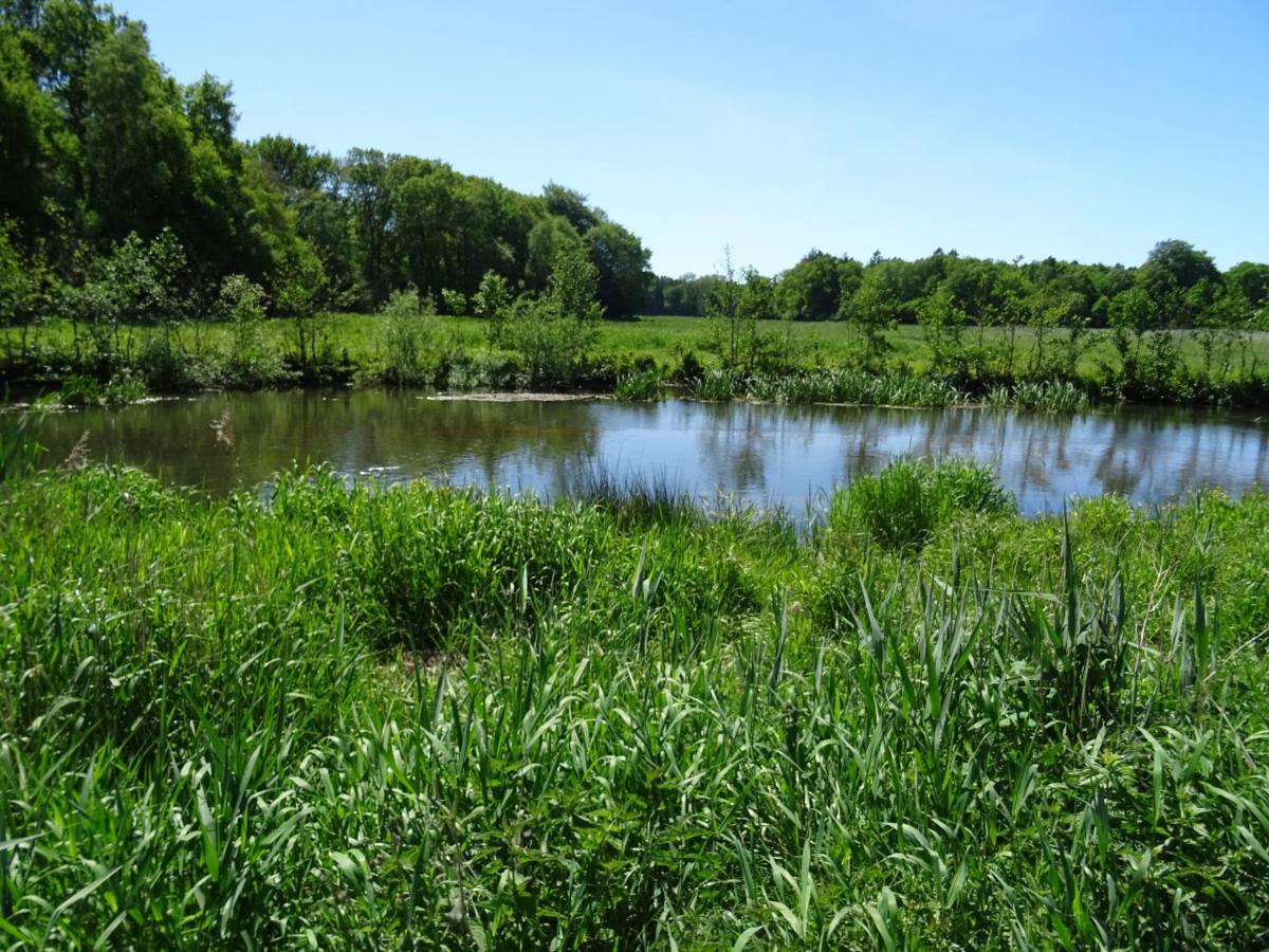 Ehndorf Haus Wald Und Wiese Wohnung Wiese מראה חיצוני תמונה