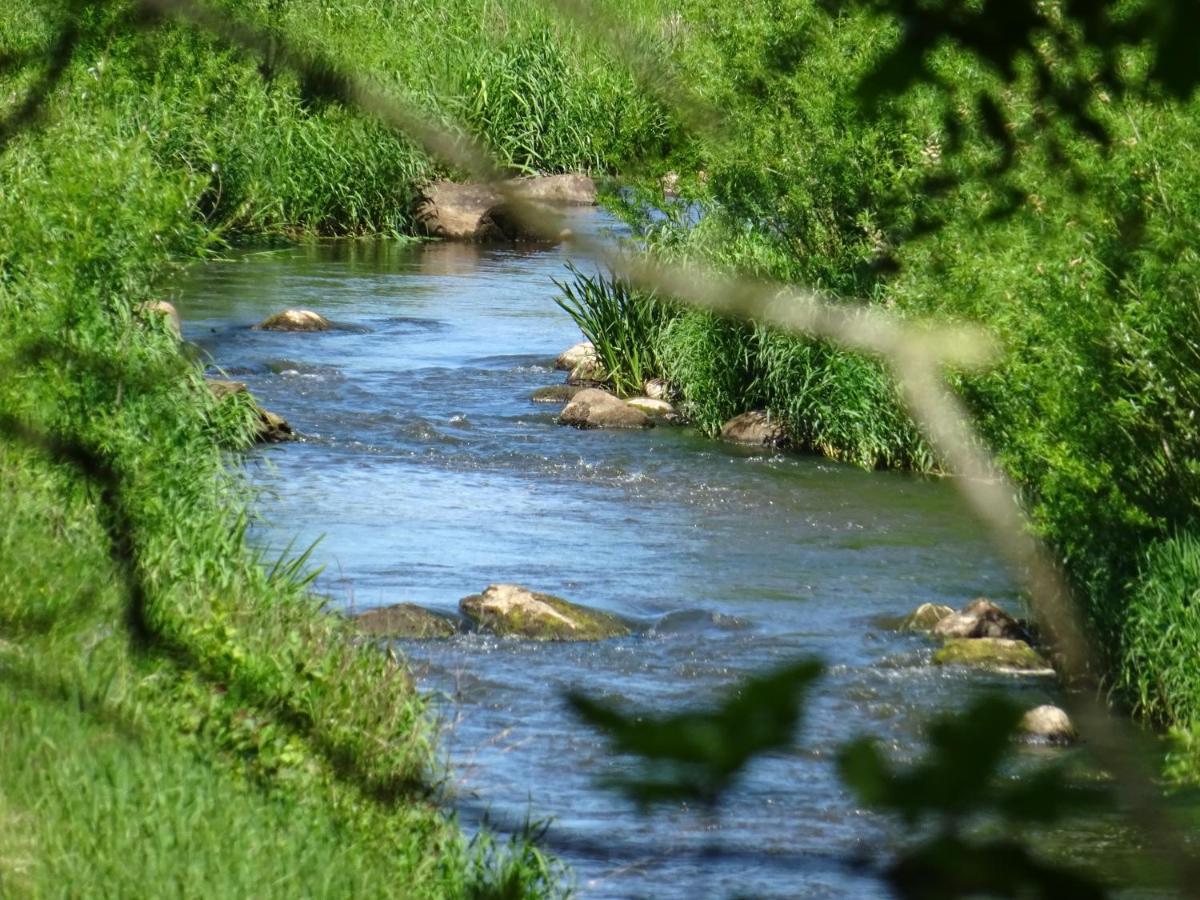 Ehndorf Haus Wald Und Wiese Wohnung Wiese מראה חיצוני תמונה