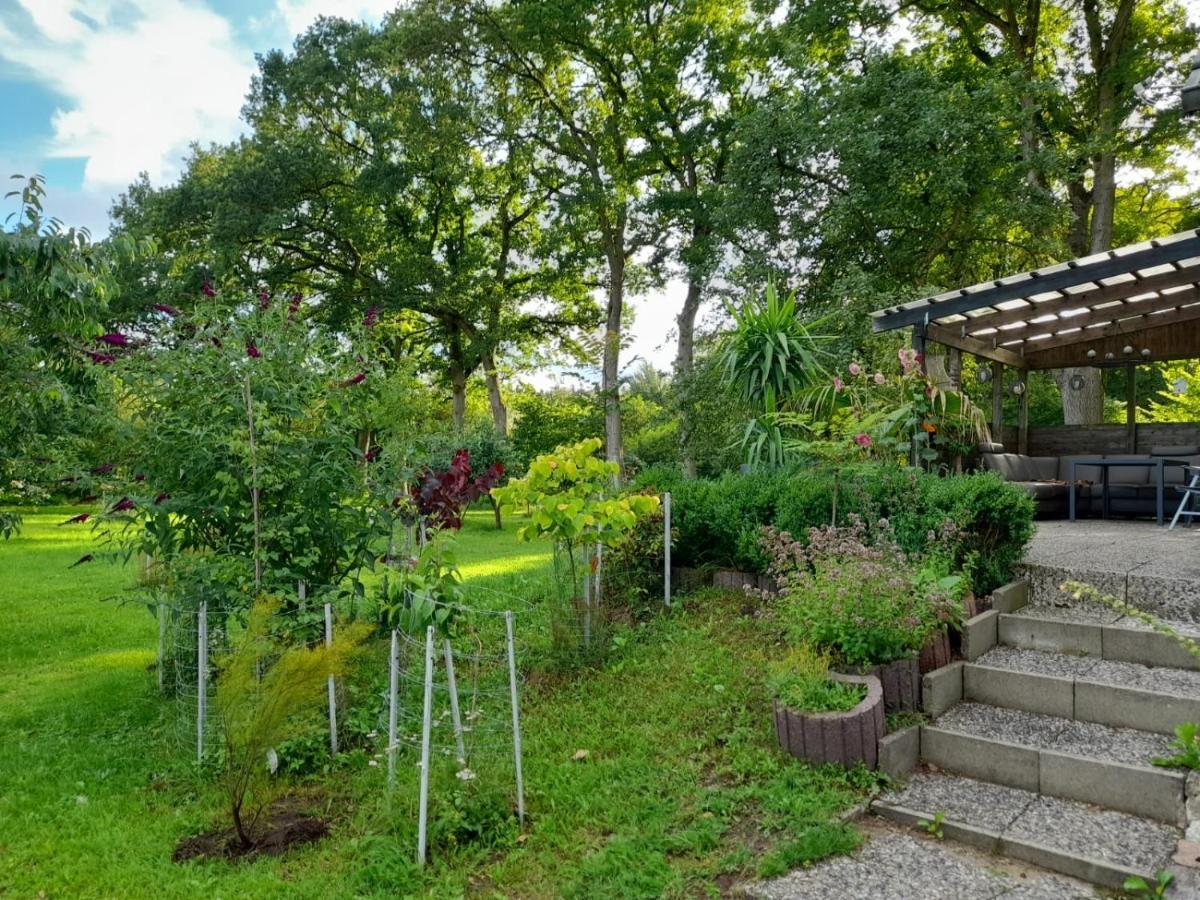Ehndorf Haus Wald Und Wiese Wohnung Wiese מראה חיצוני תמונה