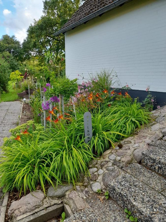 Ehndorf Haus Wald Und Wiese Wohnung Wiese מראה חיצוני תמונה